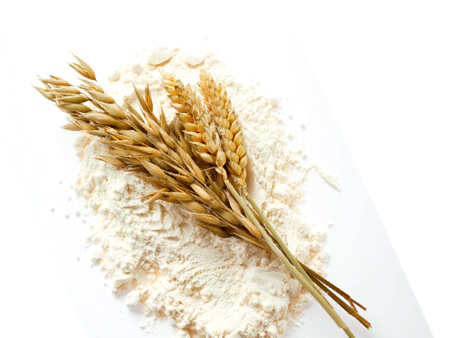 蒙恩聽障烘焙坊